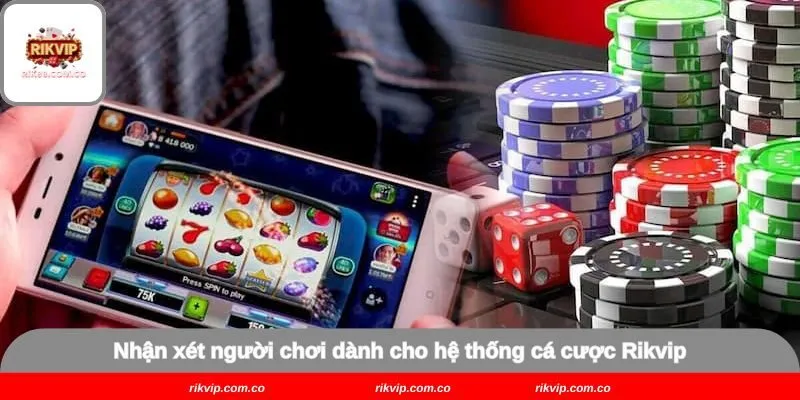 Nhận xét người chơi dành cho hệ thống cá cược Rikvip